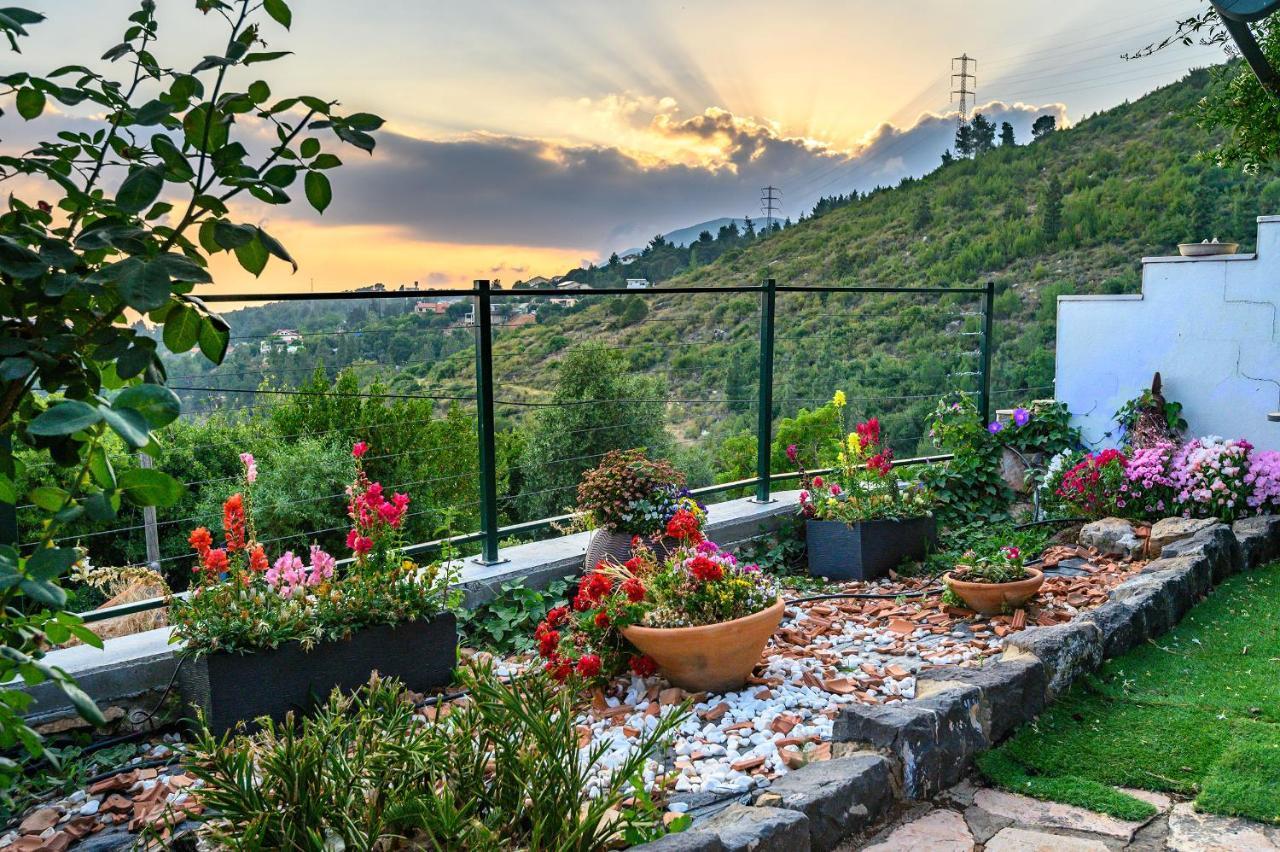 Dream Time Villa Amirim Dış mekan fotoğraf
