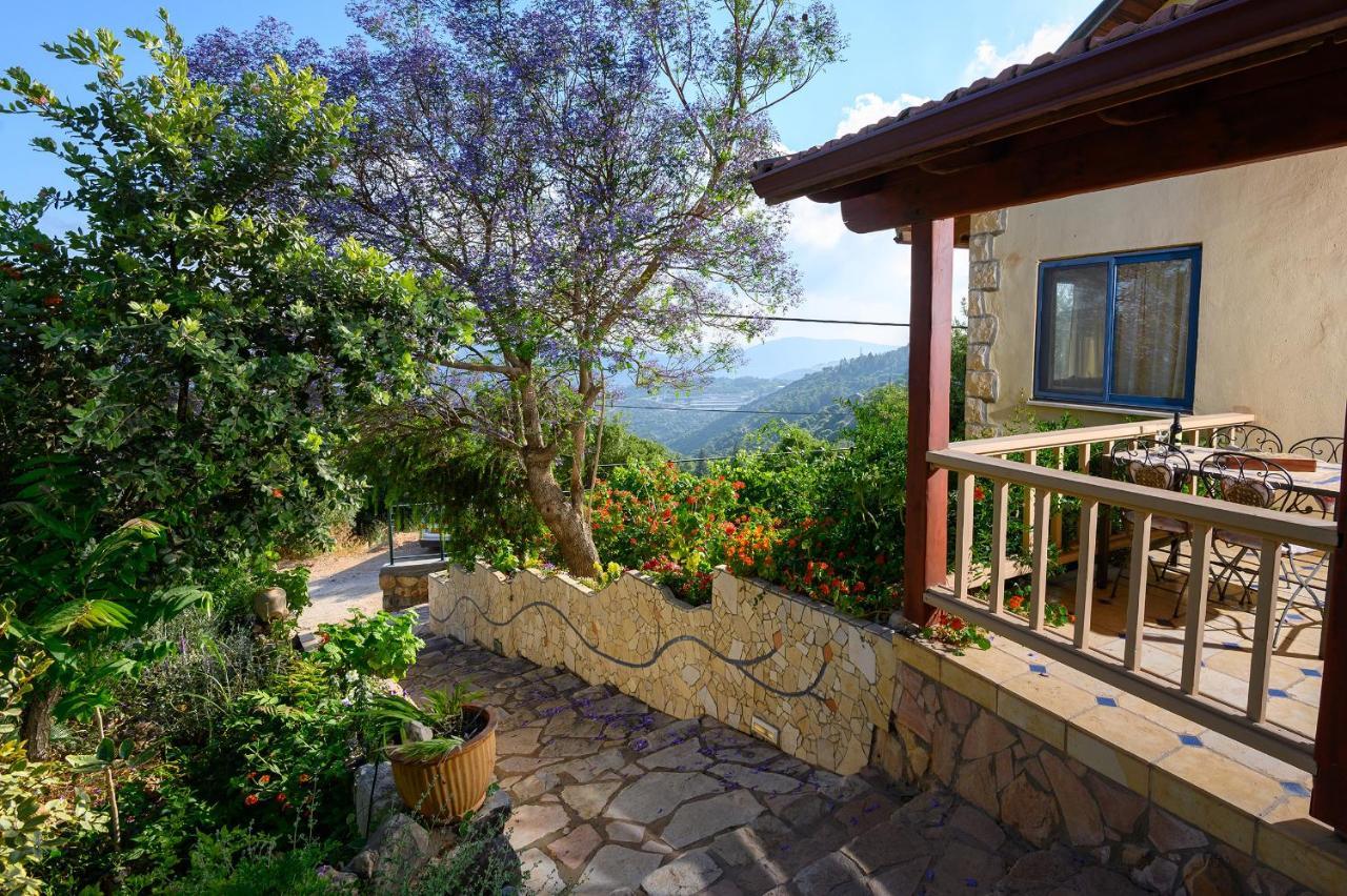 Dream Time Villa Amirim Dış mekan fotoğraf