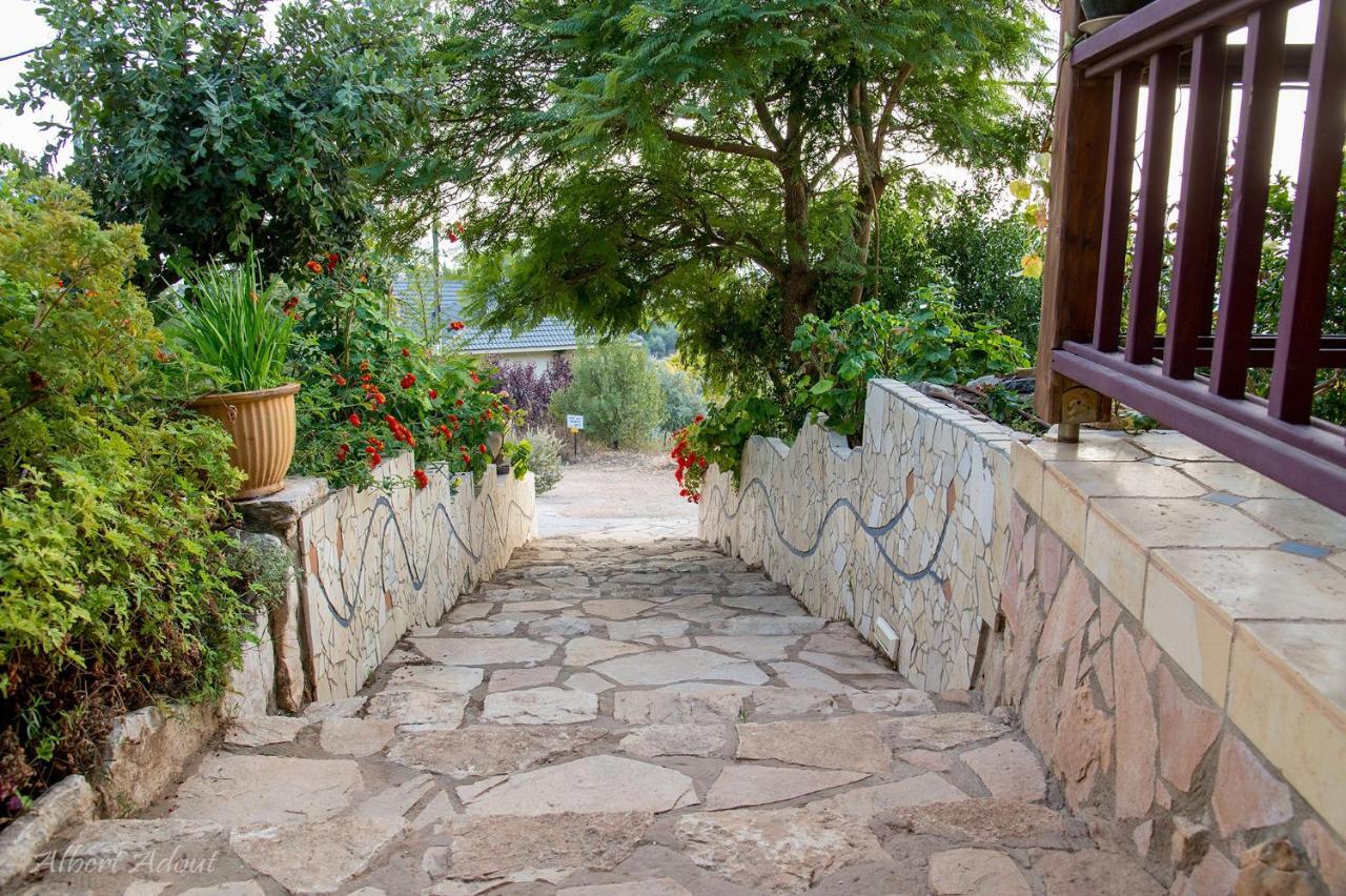 Dream Time Villa Amirim Dış mekan fotoğraf